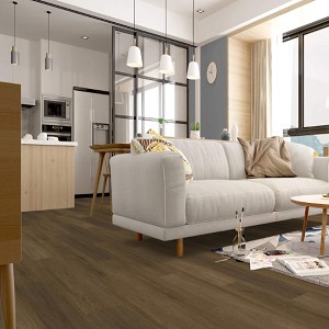 Pro Solutions SPC 20 Plank